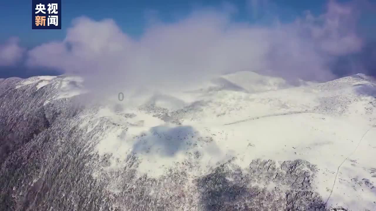 逃离受损的城堡